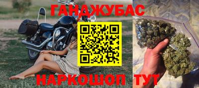 прущие грибы Бийск