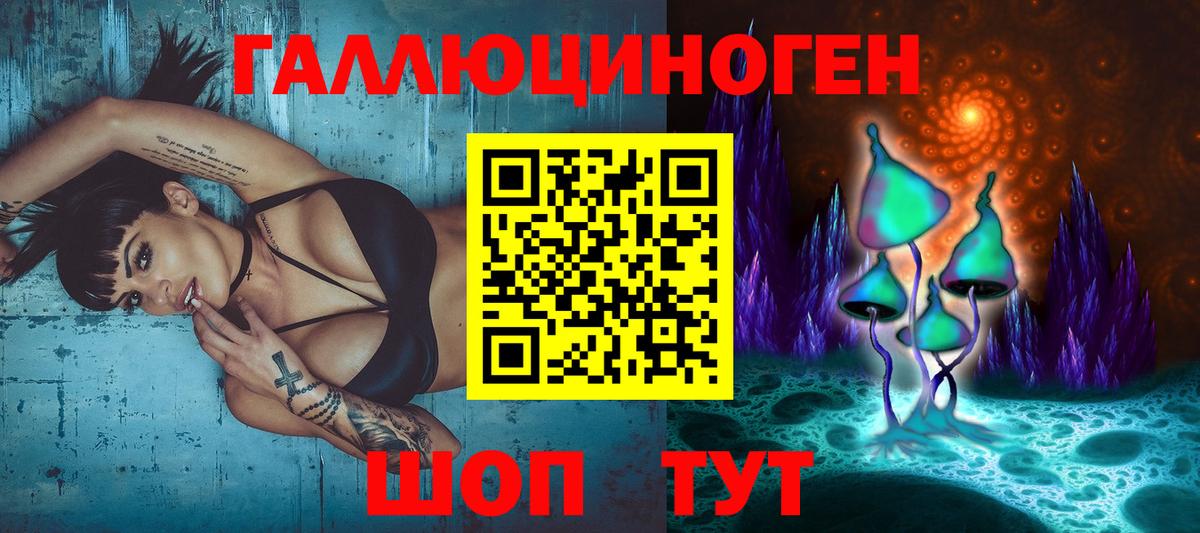Галлюциногенные грибы Psilocybine cubensis  Галлюциногенные грибы мицелий  Вход с VPN  Кинешма 