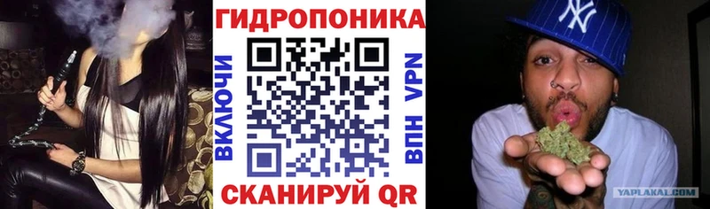 Бошки Шишки индика Кинешма