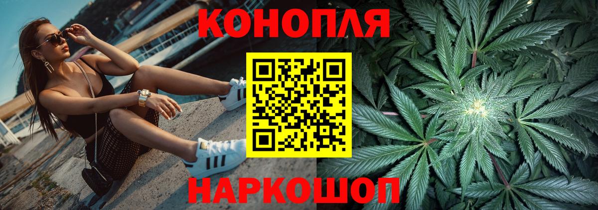 Бошки марихуана план  Бошки марихуана семена  Каннабис White Widow  Кинешма  Вход с VPN 